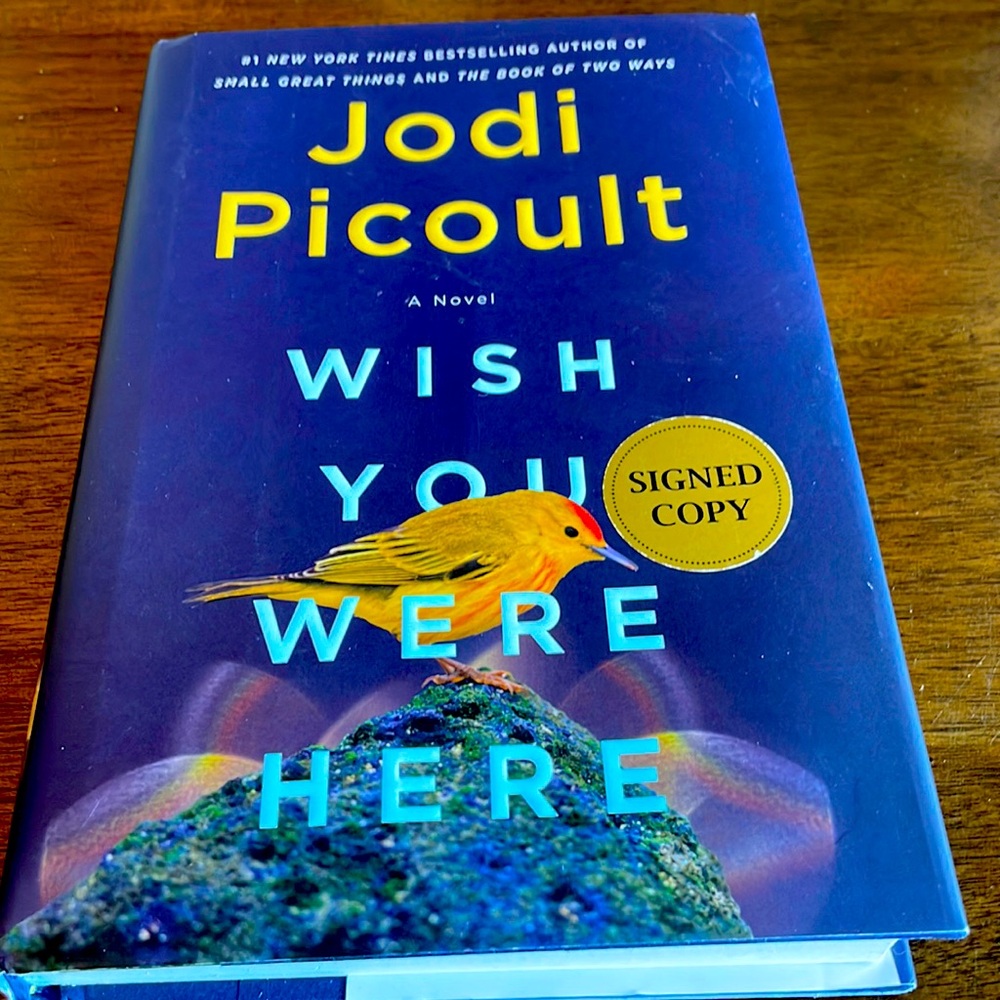 Jodi Picoult Wish you were here